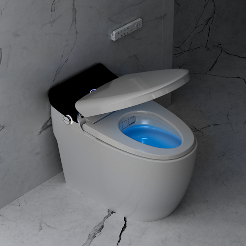 Inodoro Milano Smart Tec