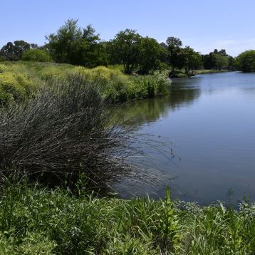 NUESTRO COMPROMISO CON LA SUSTENTABILIDAD: UN ANÁLISIS DEL REPORTE 2022-2023